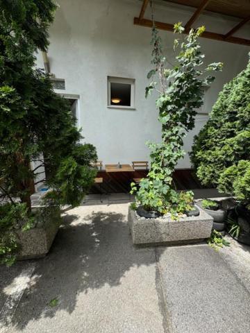 Cozy Flat Near Tivoli Park With Free Parking * Ljubljana